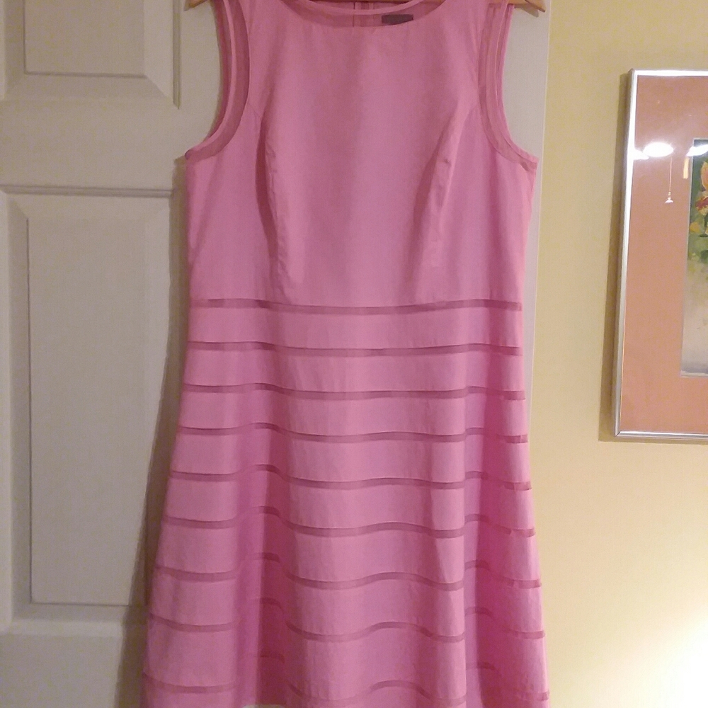 Ladies Ann Taylor Pink Dress 14M
